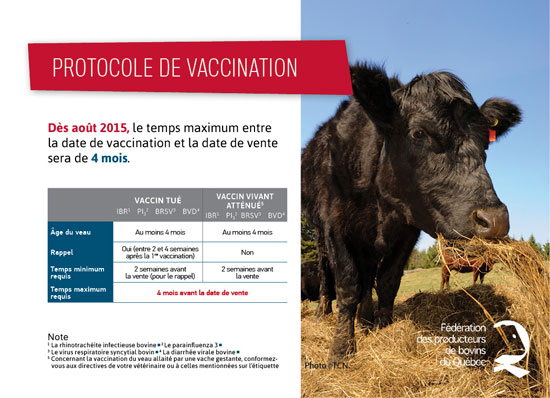 pubprotocolevaccinationbovinduqcavril2015print